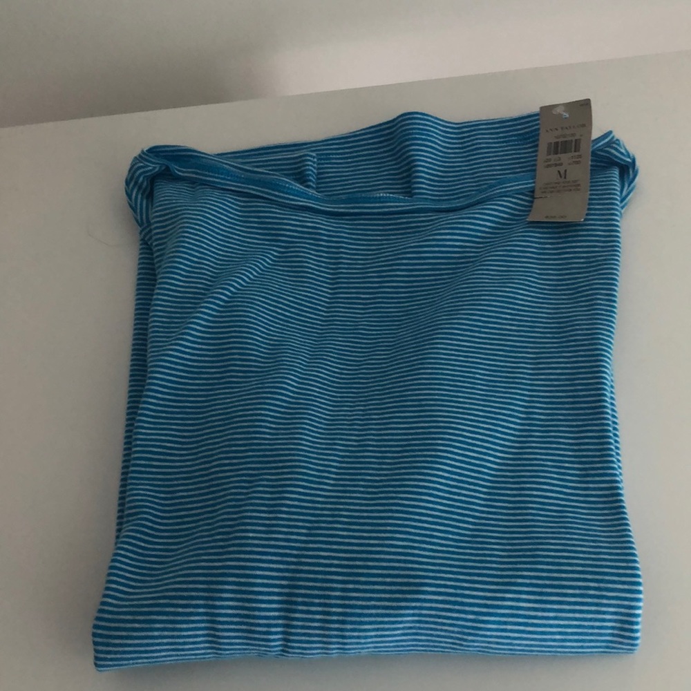 Blue and white Ann Talor top with zipper in back